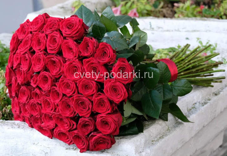 Букет из 51 красной розы 80 см